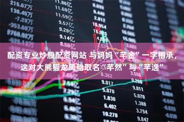 配资专业炒股配资网站 与妈妈“芊金”一字相承，这对大熊猫龙凤胎取名“芊然”与“芊逸”