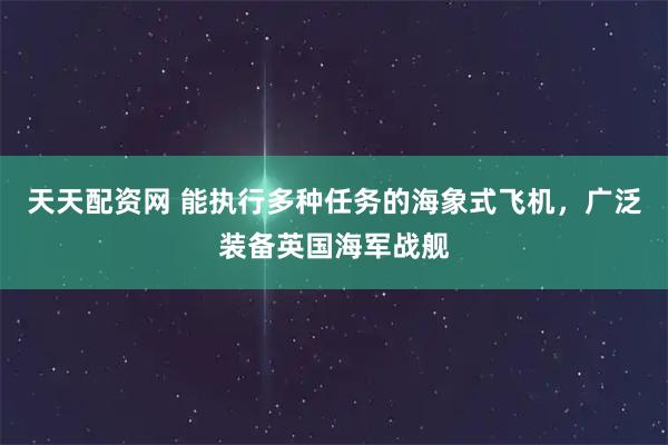 天天配资网 能执行多种任务的海象式飞机，广泛装备英国海军战舰